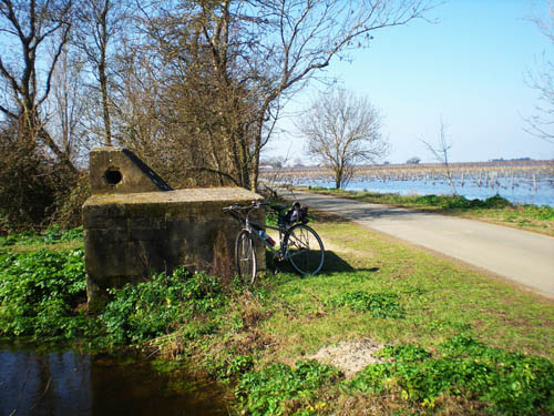 Duitse Telefoonbunker La Couarde-sur-Mer #1