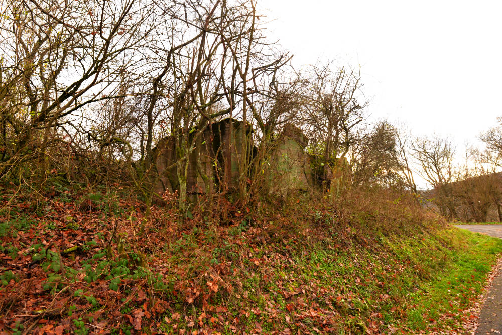 Westwall Bunker Nierfeld #5