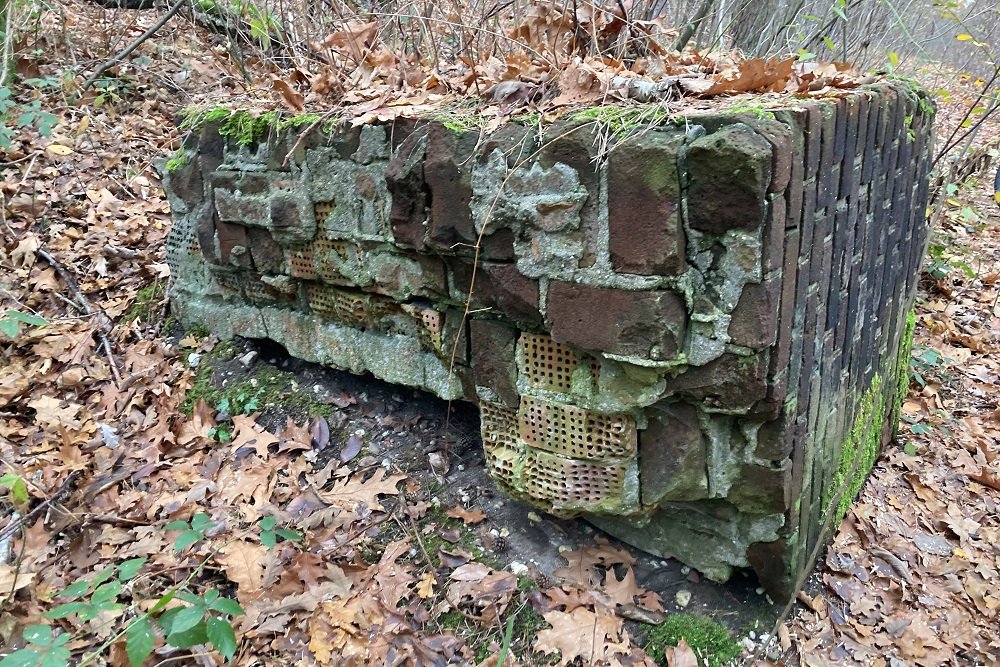 Remains Hangar Sdlager Fliegerhorst Venlo #4