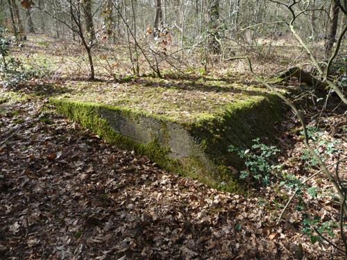 Groepsschuilplaats Type 1918/II De Fransche Kamp #1