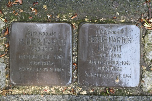 Stolpersteine Rodenbachlaan 24 #2