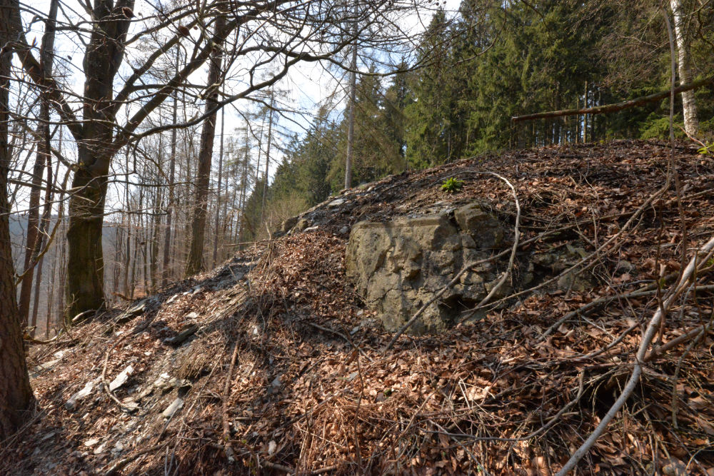 Bunker P115 Ochsenkopf #1