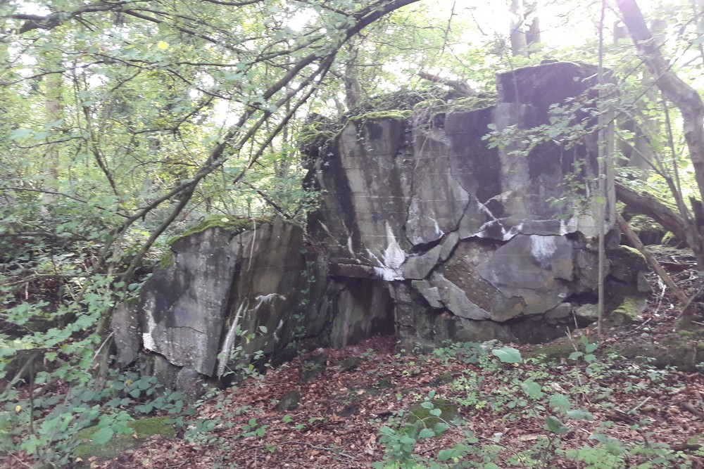 Westwall - Bunker No. 485 Regelbau 10 Gruppenunterstand #2