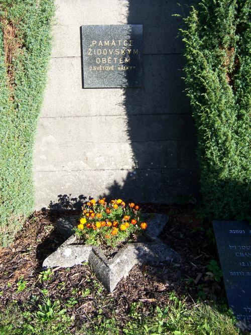 Jewish Mass Grave at Bělá nad Svitavou #3