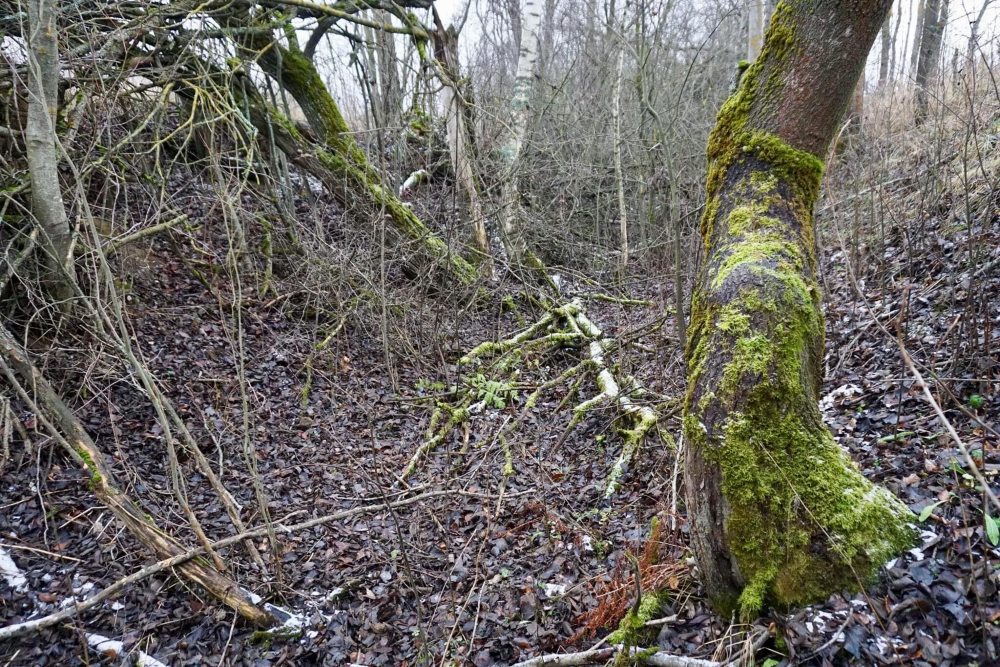 Antitank Ditch Yaropolets #1