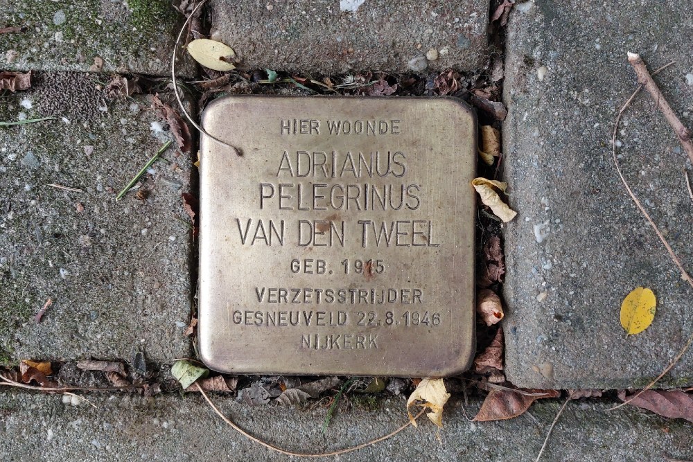 Stolperstein Barneveldseweg 119 #3