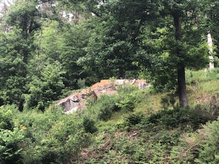 Westwall Bunker Remains