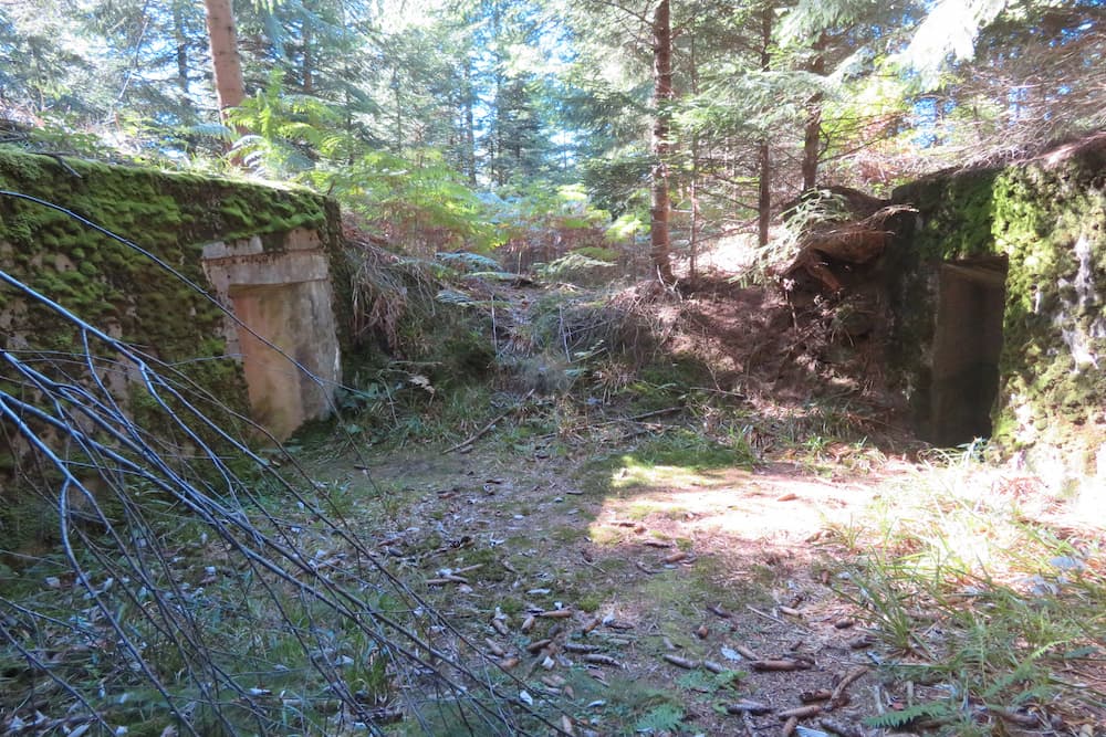 Geschutsbunkers Col du Donon #4