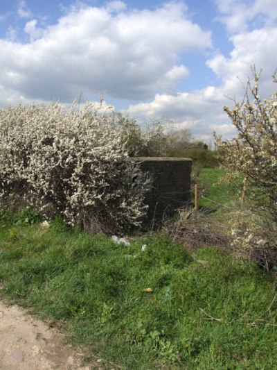 Pillbox FW3/26 Canvey Island #1