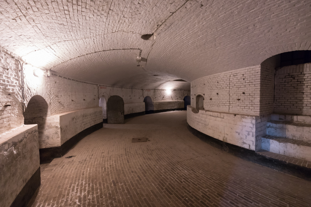 Fort Vuren #3