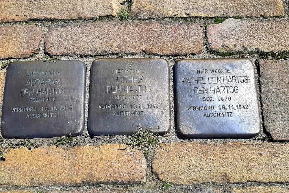 Stolpersteine Lauwers 8