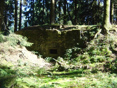 Bunker Nr. 132 op Der Buhlert #5