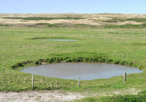 Bomb Craters Wangerooge