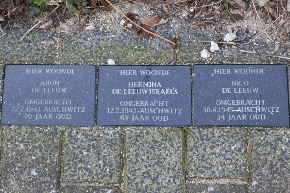 Memorial Stones Catharina van Reestraat 10 #2