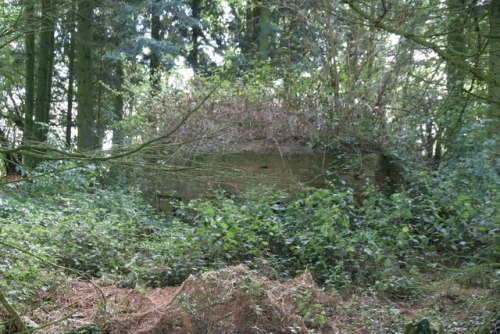 Pillbox FW3/22 Aldworth