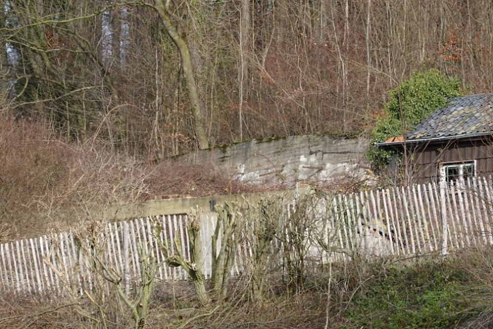 Westwall - Tankmuur Schneeberg #1