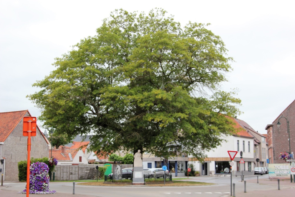 Vredesboom Machelen-aan-de-Leie #1