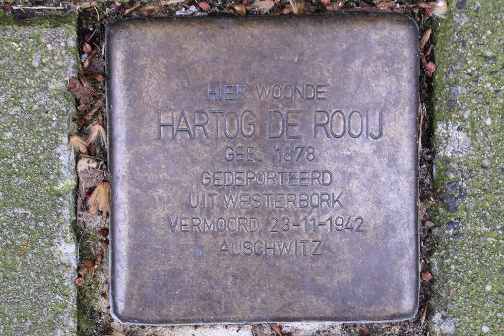 Stolperstein Gorontalostraat 24 #1