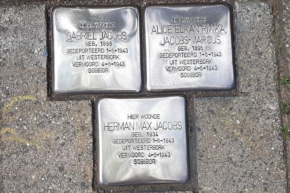 Stolpersteine Pijntorenstraat 20 #1