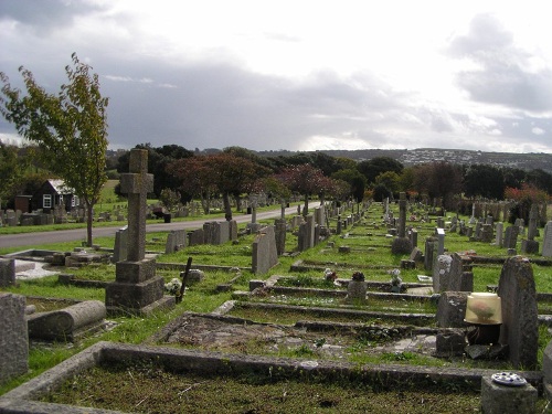 Oorlogsgraven van het Gemenebest Godlingston Cemetery #1