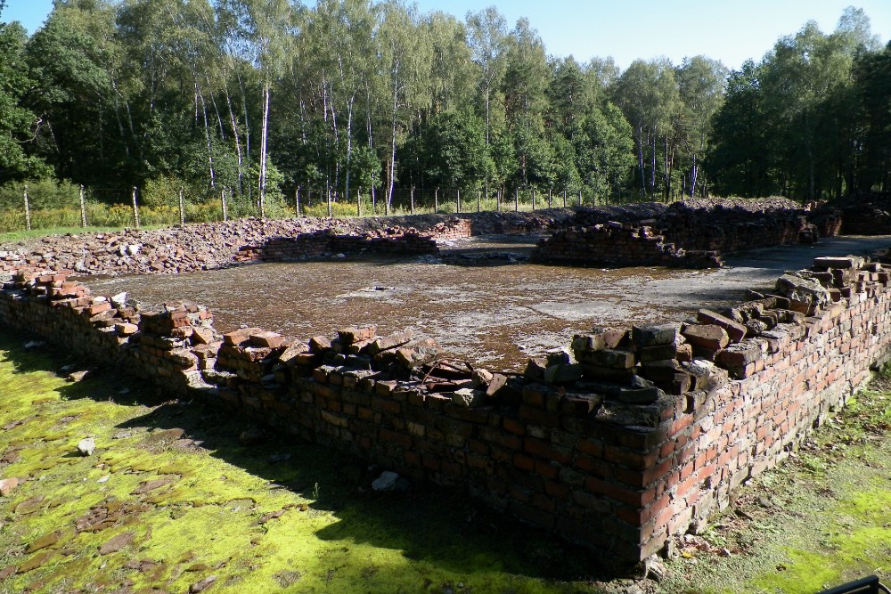 Remains Gas Chamber 5 Auschwitz II (Birkenau) #2