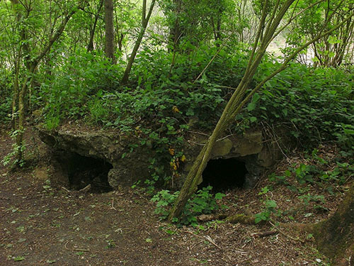 German Bunker Caterpillar