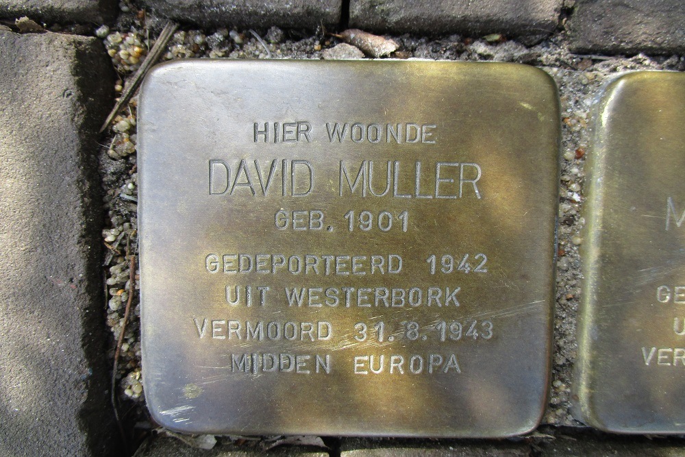 Stolpersteine Het Haagje 58 #3