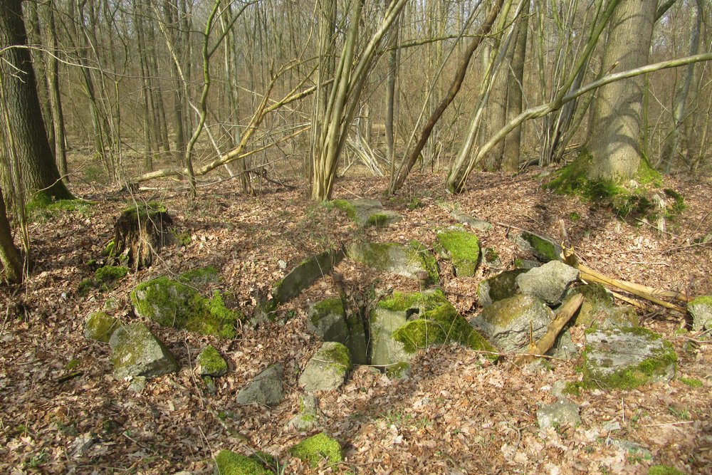 Westwall - Bunker Restanten Augustiner Wald #3
