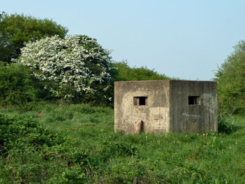 Pillbox FW3/22 Elm Park