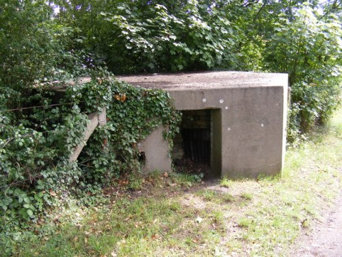 Pillbox FW3/22 Halesworth #2