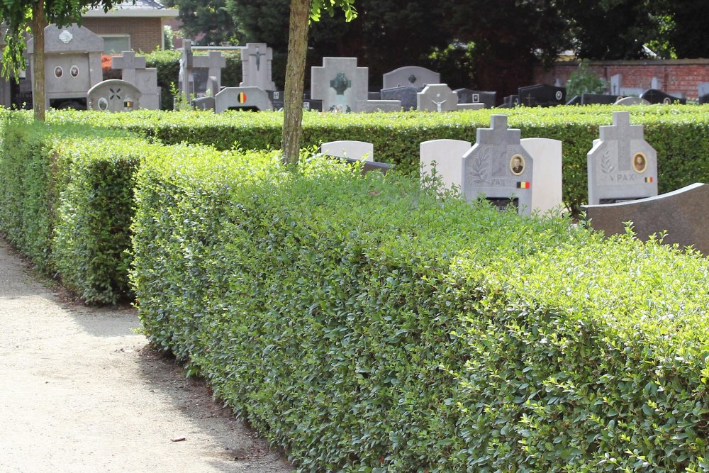 Commonwealth War Graves Morkhoven #2