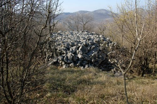 Rupniklinie - Bunker Karnenjak (I) #1