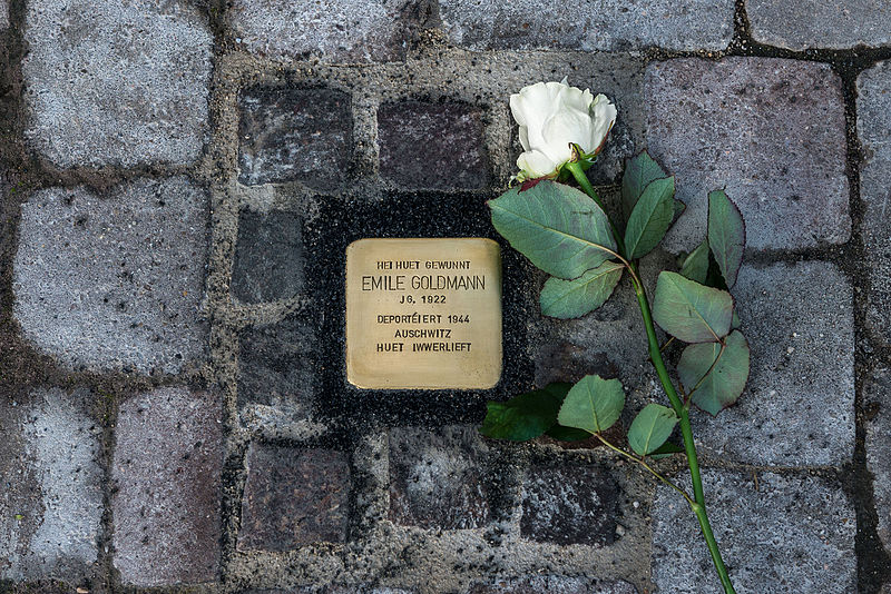 Stumbling Stone 20 Rue Dalscheidt