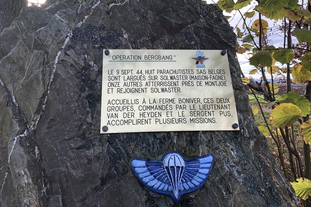 Monument Belgische SAS Parachutisten #2