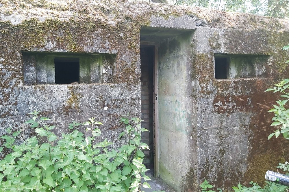 Pillbox FW3/24 Springfield, Chelmsford #5