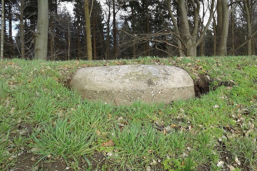 Kochbunker 'Berkenlaan 2' Montferland #2