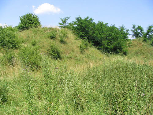 Festung Przemysl - Fort GW XIa 