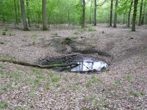 Bomb-crater Oud Groevenbeek #2