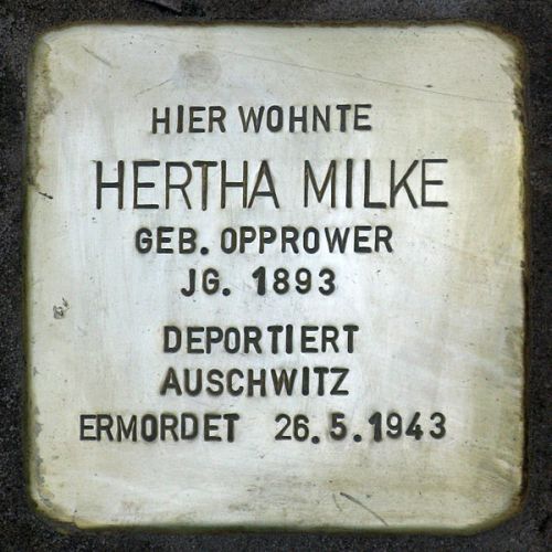 Stolpersteine Alt-Mggelheim 17