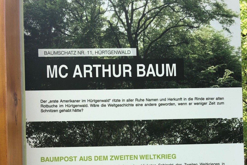 McArthur Tree Hürtgenwald #2