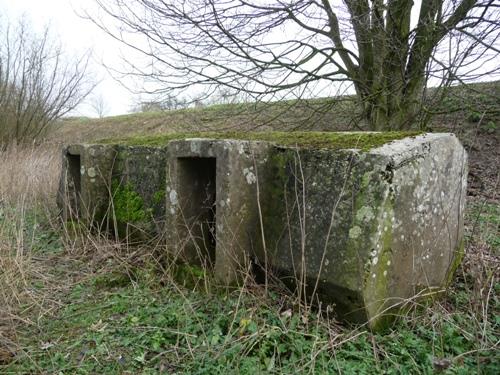 Group Shelter Type 1916/II (B3) Nieuwendijk #2