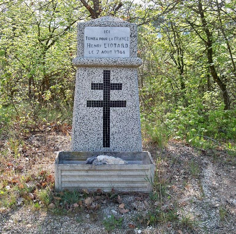 Monument Henri Liotard #1