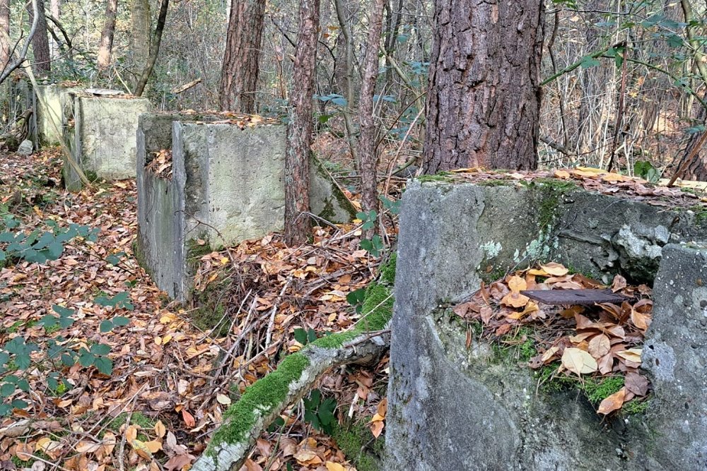 Remains of the Rundbogenhalle/Bow Hangar Fliegerhorst Venlo