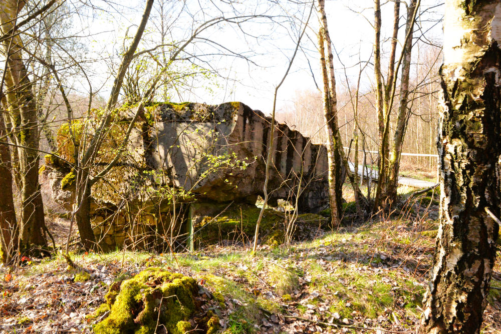 Bunker 359/360 Todtenbruch #6