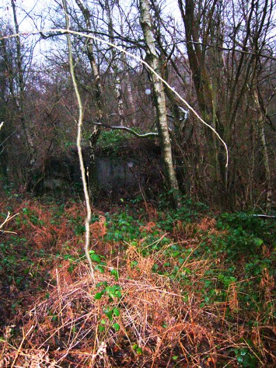 Pillbox FW3/24 Jarvis Brook