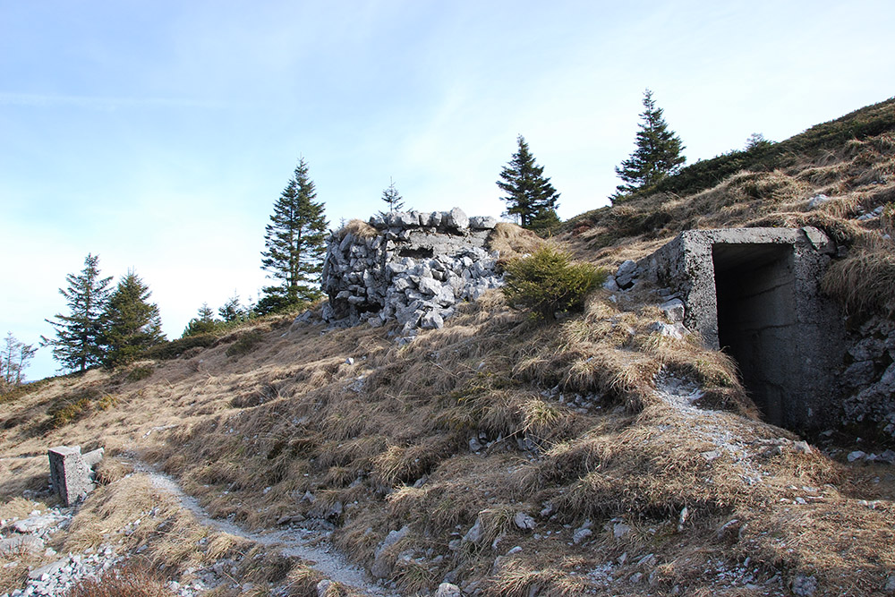 Alpine Wall - Casemate