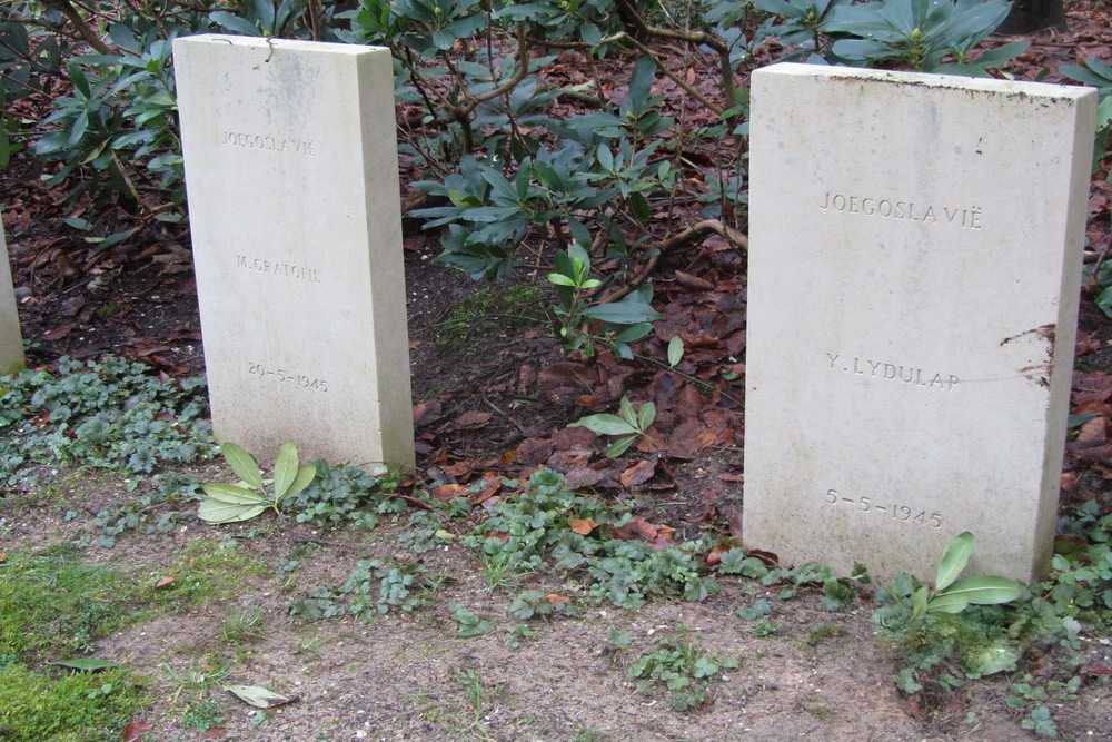 Tsjecho-Slowaakse Oorlogsgraven (Rusthof) #5