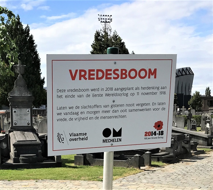 Vredesboom Mechelen #2