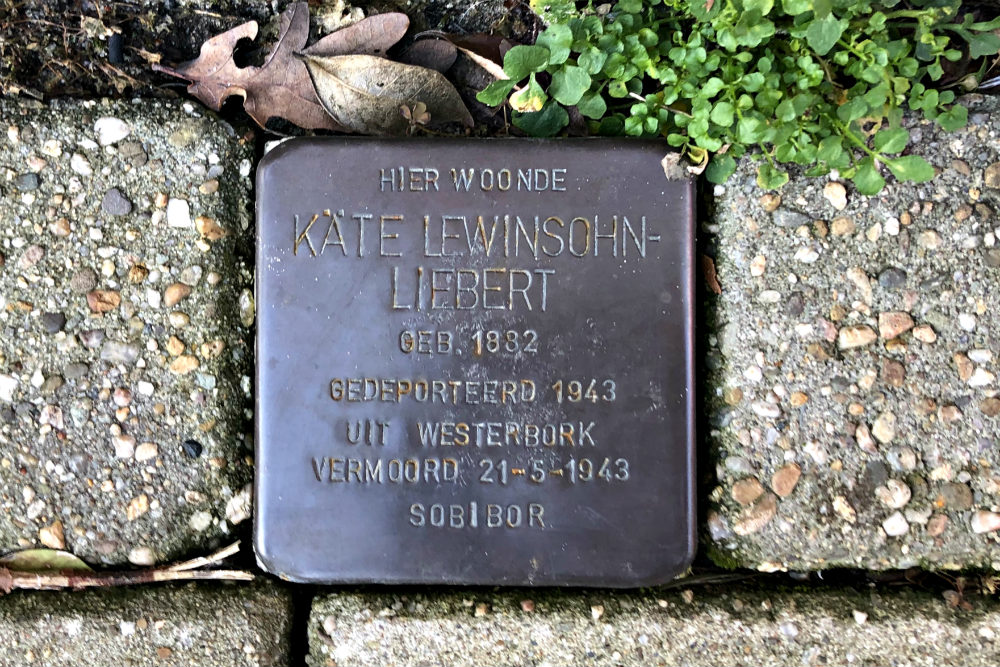 Stolpersteine Parkweg 51 #2