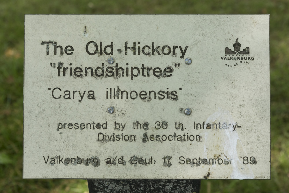 De Old Hickory Vriendschapsboom #2